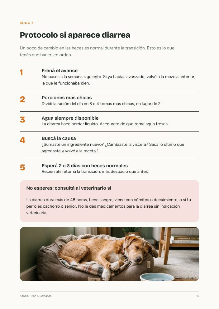Lámina de alimentos tóxicos