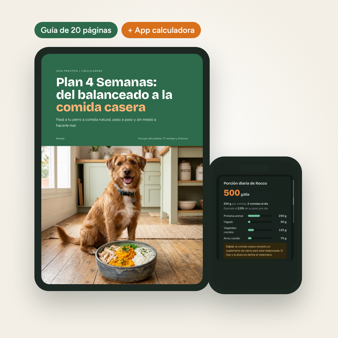 Plan 4 Semanas: del balanceado a la comida casera