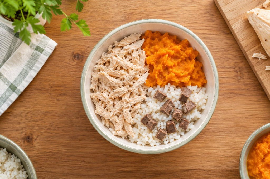 Plan 4 Semanas: del balanceado a la comida casera