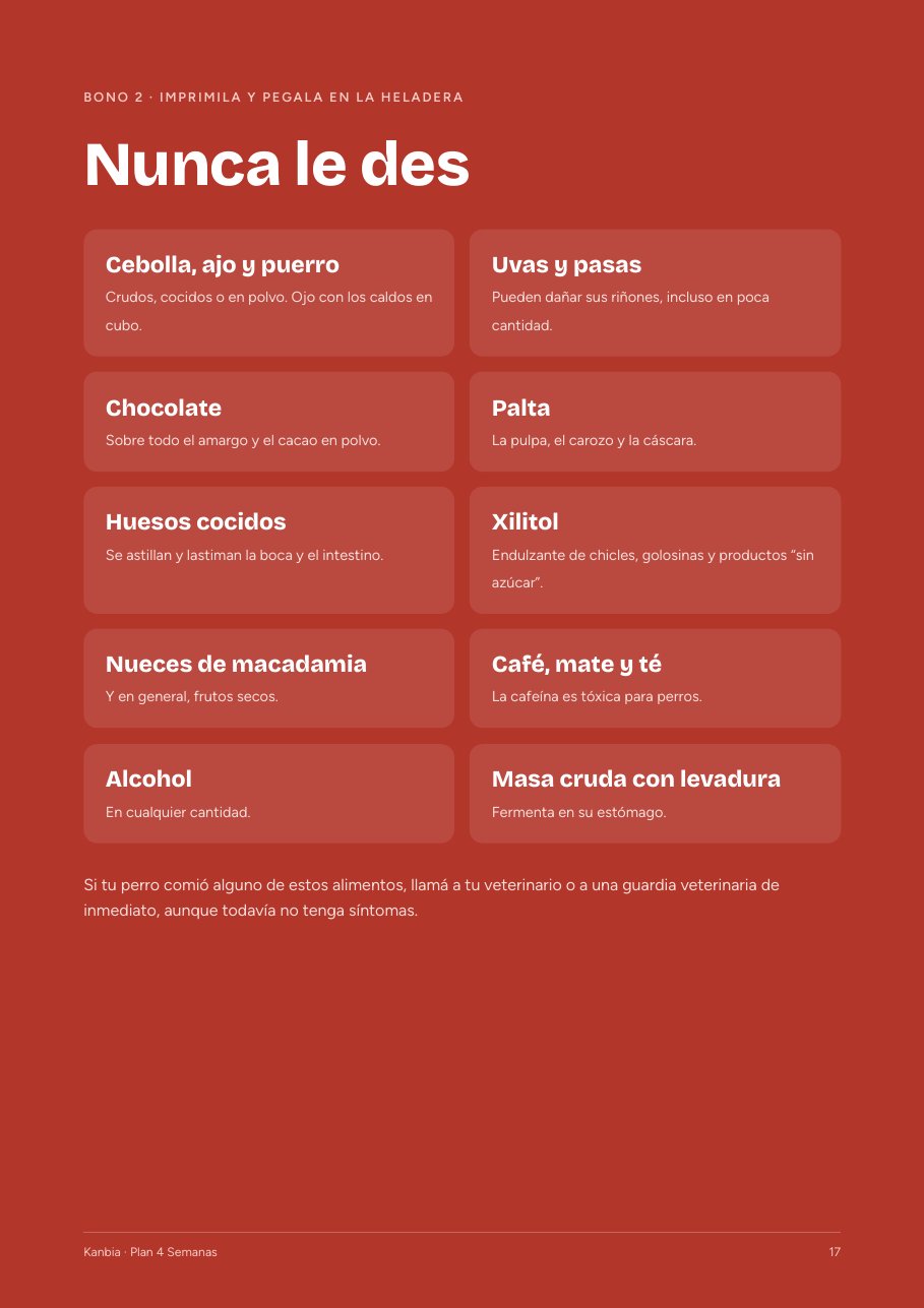 Plan 4 Semanas: del balanceado a la comida casera