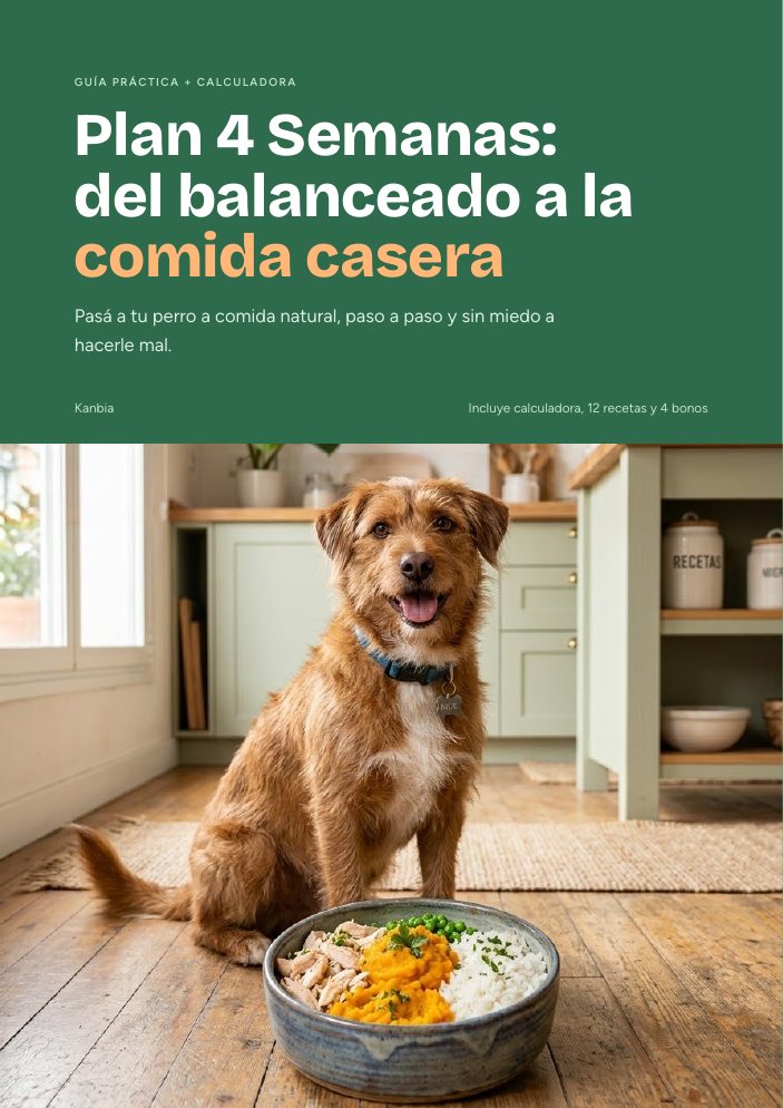 Tapa de la guía Plan 4 Semanas