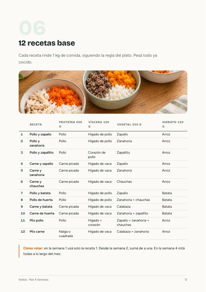 Página de las 12 recetas base